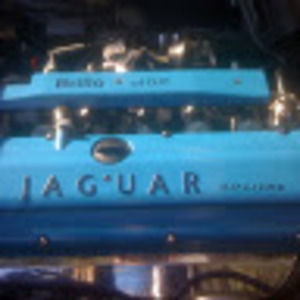 Meet your Posher, Thomas